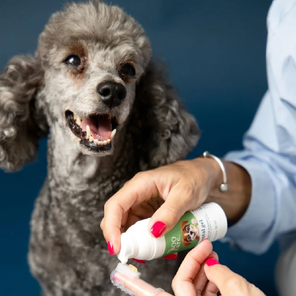 The BOO Care Dental, gel (50 ml)